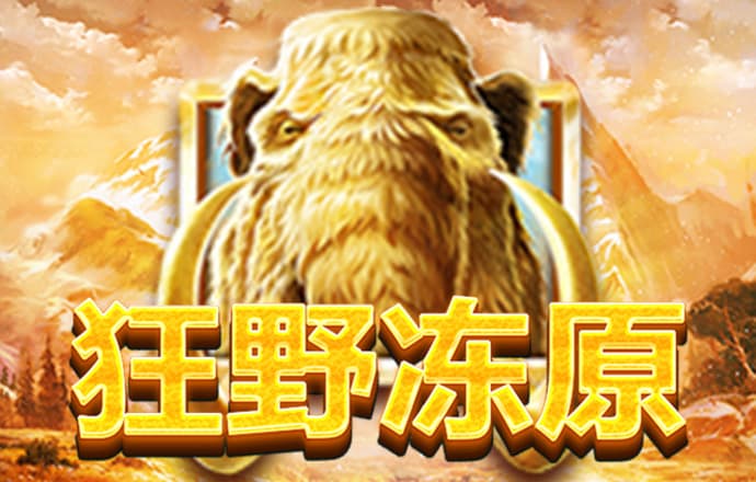 IM体育娱乐平台